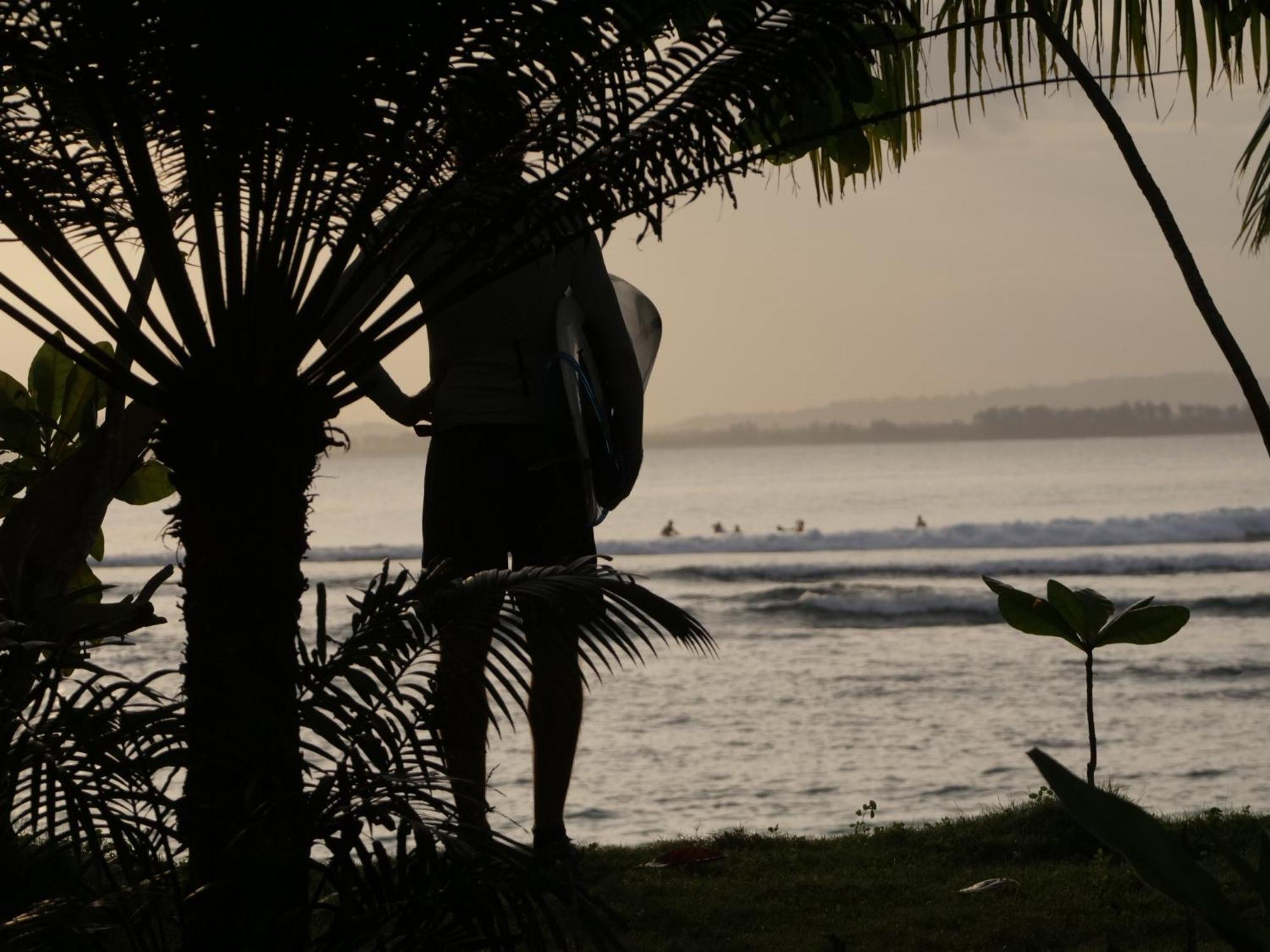 Carve Bay Mentawai Panzió Masokut Kültér fotó